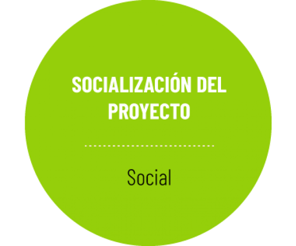 Socialización del Proyecto